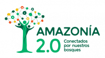Amazonia 2.0